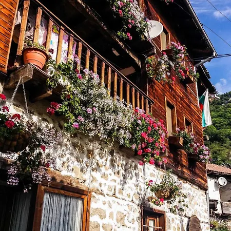 Traditional Style Amidst Nature And Wildlife * Delchevo