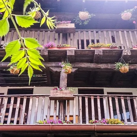 Traditional Style Amidst Nature And Wildlife * Delchevo